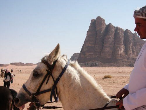 Captain'S Desert Camp Wadi Rum Exterior photo